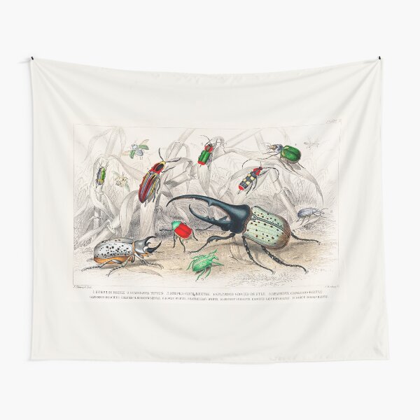 1820 Beetle Illustration Tapestry