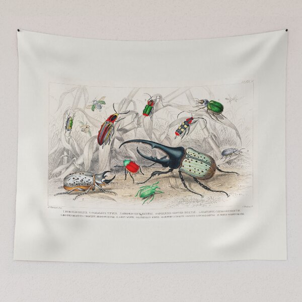 Item preview, 1820 Beetle Illustration  designed and sold by moonandcat.