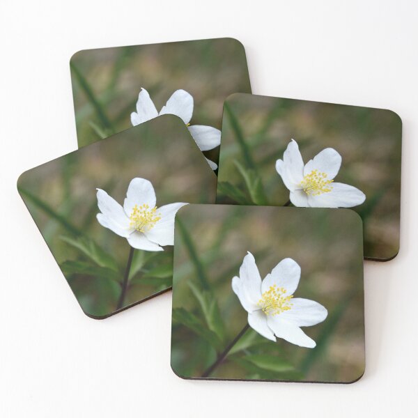 Item preview, Anemone nemorosa macro, white flower in nature designed and sold by Adrikul.
