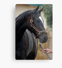 Zenyatta at Del Mar 2010 Metal Print