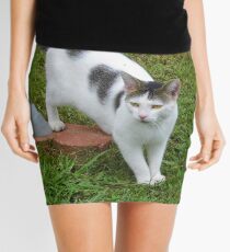 I Guess I Have A New Cat?! Mini Skirt