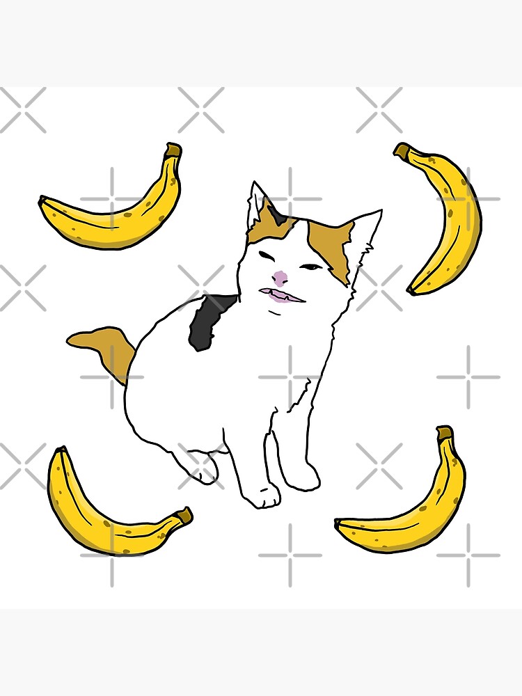 Angry cat no banana meme calico kitty hate yellow fruit - Angry