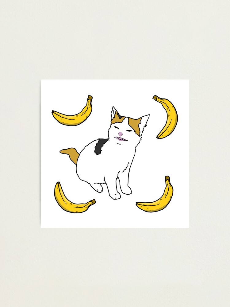 Angry cat no banana meme calico kitty hate yellow fruit - Angry