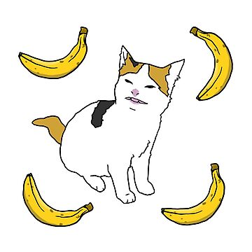 Angry cat no banana meme calico kitty hate yellow fruit - Angry