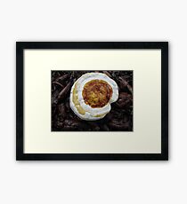 Look A Like Framed Print