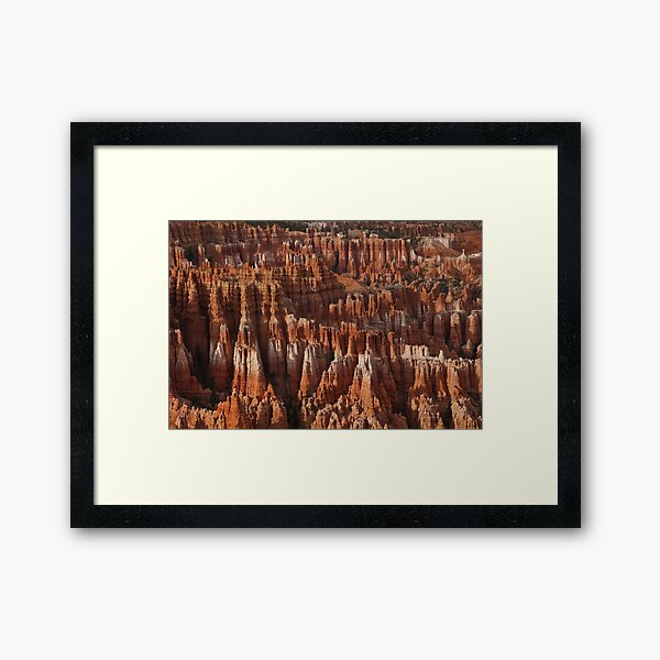 Framed Art Print