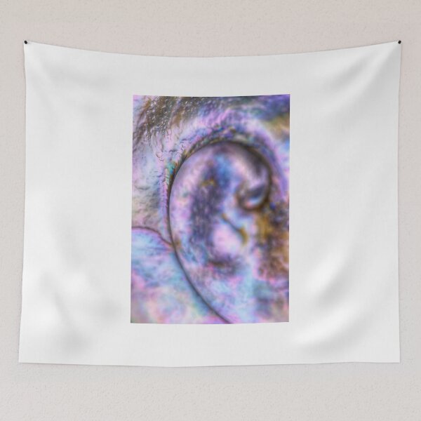 Item preview, Abalone Curve designed and sold by AntonyMitchell.