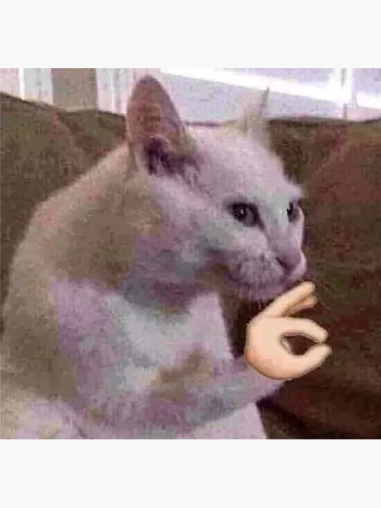 "Cat Ok Sign Meme" Sticker for Sale by 1Zaners Redbubble