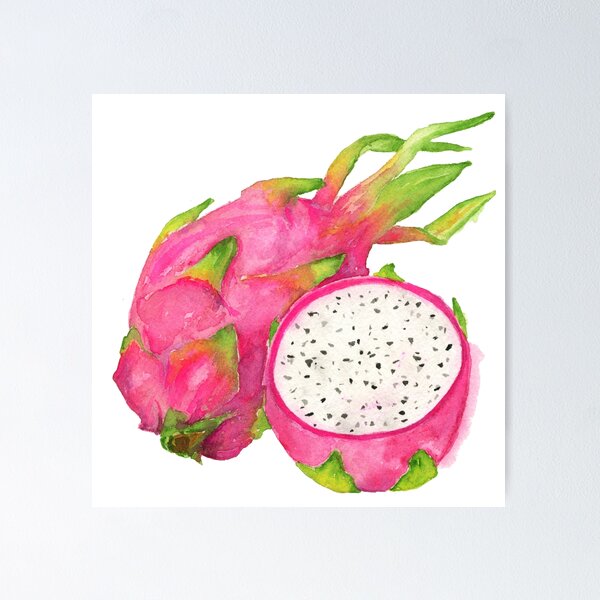 Dragon Fruit In Watercolor Painting With Water Splash,watercolor Art Pitaya,watercolor  Fruits PNG Hd Transparent Image And Clipart Image For Free Download -  Lovepik | 380544504