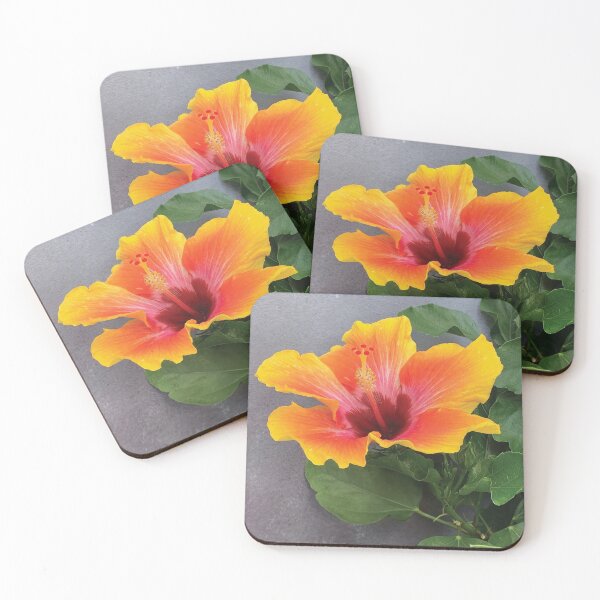 Item preview, Hibiscus Flower Portrait designed and sold by libbywilkie.