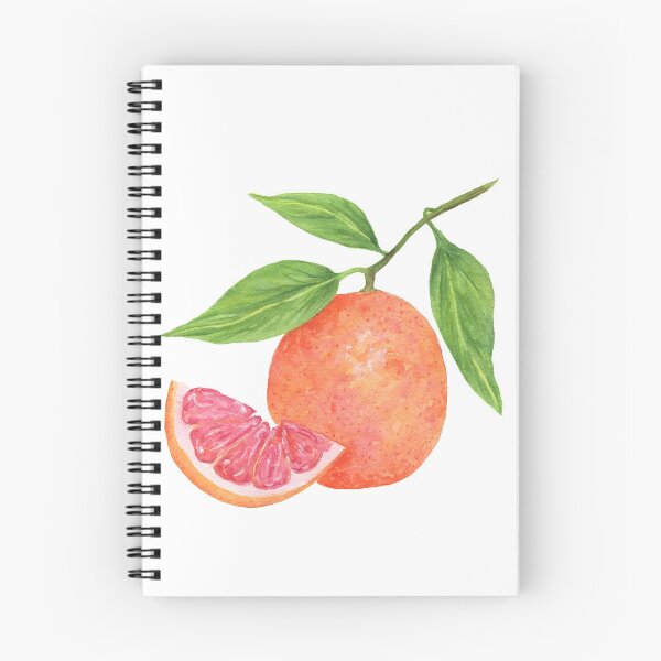 Aperçu de l'œuvre Pamplemousse rose à l'aquarelle créée et vendue par Laura Jane Kirton.