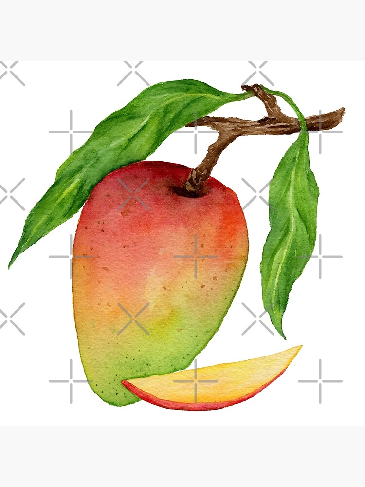 Mango Fruit Stickers for Sale | Redbubble