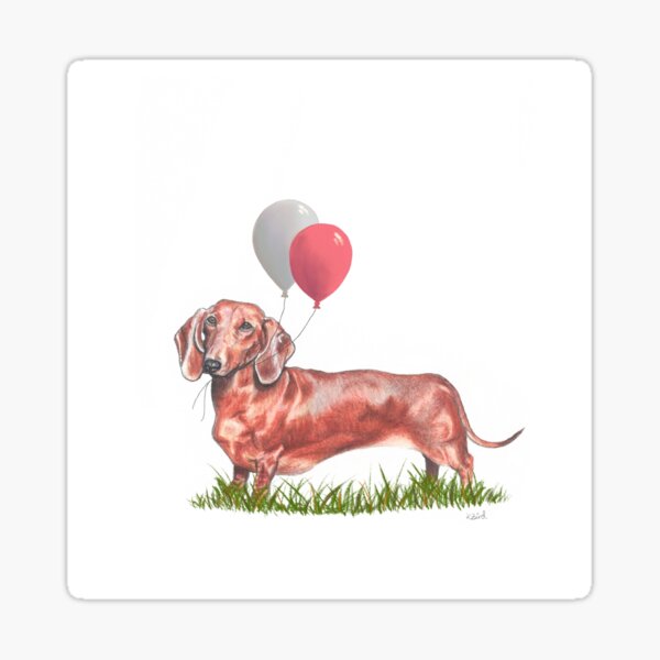 Dachshund With Grey and Red Balloons Sticker