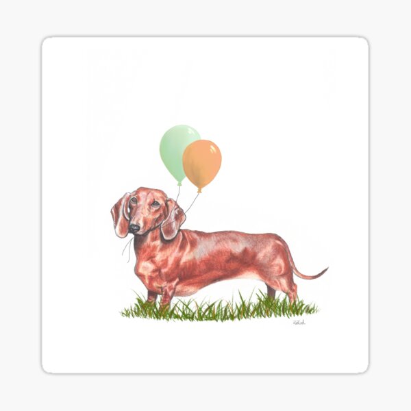 Dachshund With Green and Orange Balloons Sticker
