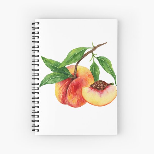 Watercolor Peach Spiral Notebook