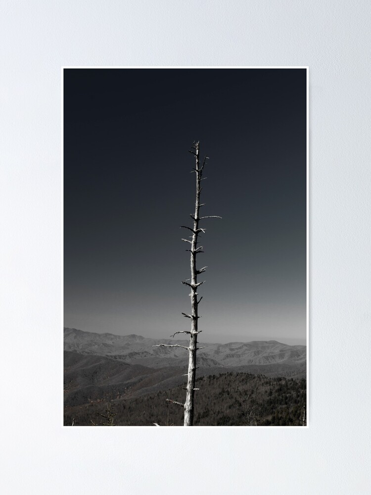 Thumbnail 1 of 3, Poster, Landscape designed and sold by vasu.