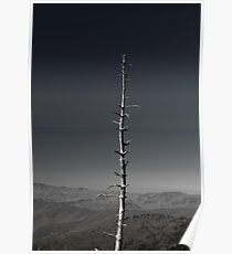 Landscape Poster
