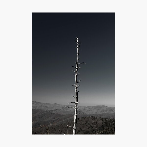 Item preview, Landscape designed and sold by vasu.