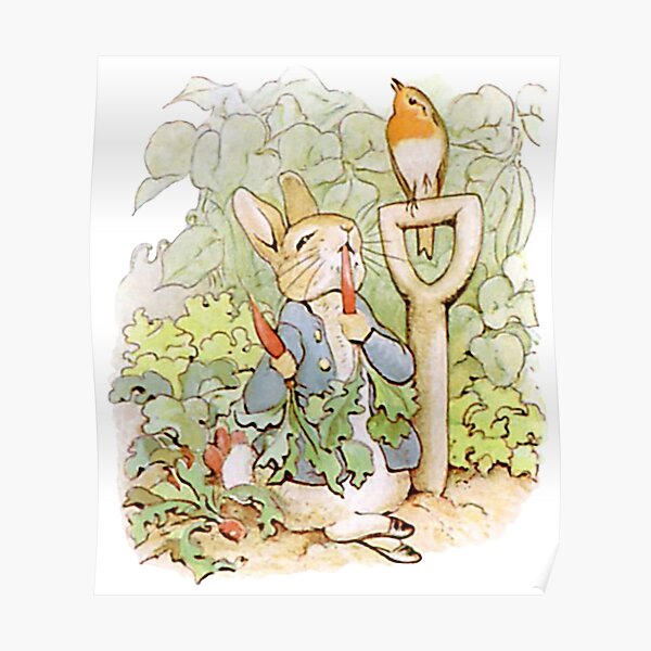 Peter Rabbit eating carrots Poster.