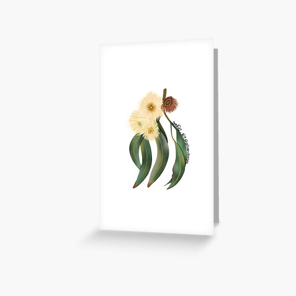 Item preview, Australian Native Flora, Tasmanian Blue Gum designed and sold by zoltrondesigns.
