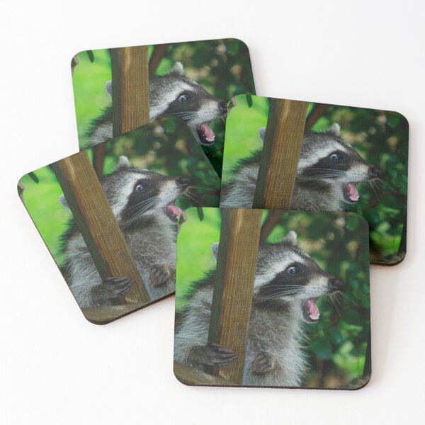 Item preview, Oh My, What Was That Flash? Is it Lightning? designed and sold by Brenda Burnett.