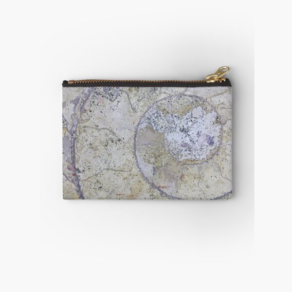 Item preview, Section through an ammonite designed and sold by Zosimus.