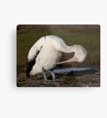 Self Exploration Metal Print