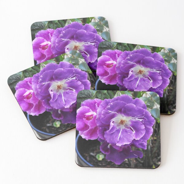 Item preview, Floribunda Roses designed and sold by MidnightMelody.