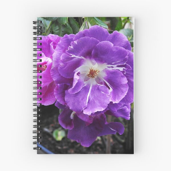 Item preview, Floribunda Roses designed and sold by MidnightMelody.