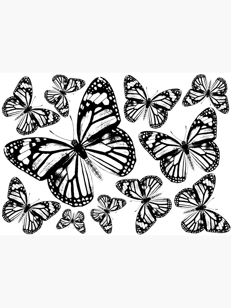 Disover Monarch Butterflies | Monarch Butterfly | Vintage Butterflies | Butterfly Patterns | Black and White | Premium Matte Vertical Poster