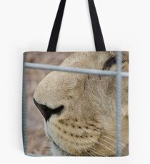 Lion - Zoo Arcachon Tote Bag