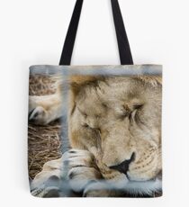 Sleepy Lion - Zoo Arcachon Tote Bag