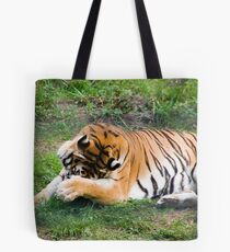 Tiger - Zoo Arcachon Tote Bag