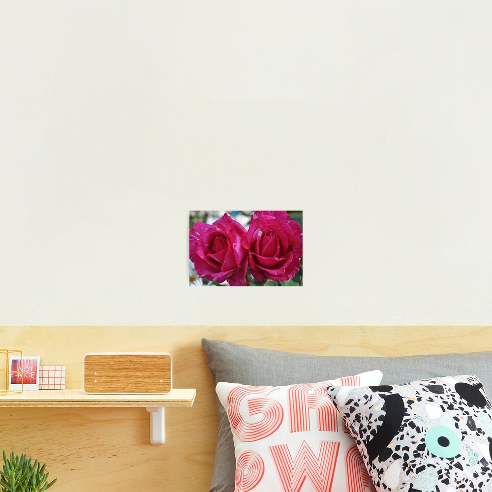 Item preview, Photographic Print designed and sold by chrisuk.