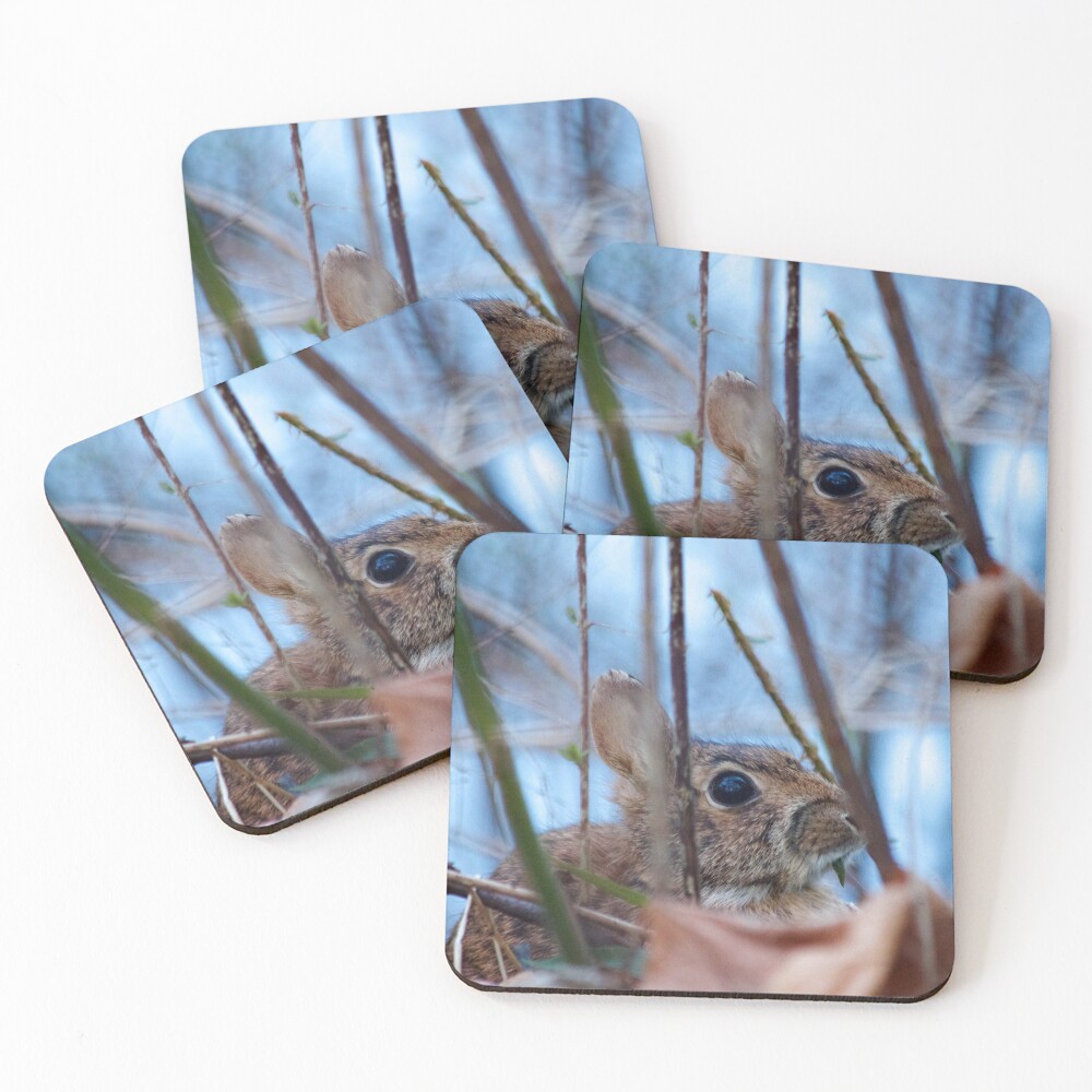 Item preview, Coasters (Set of 4) designed and sold by couragesings.