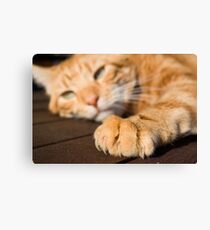 Henry Canvas Print