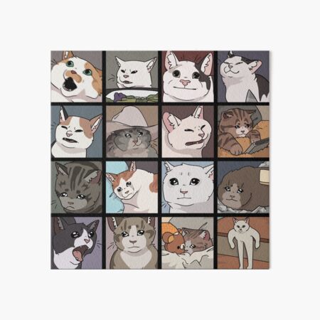 Meme Cats 2.0 Art Board Print