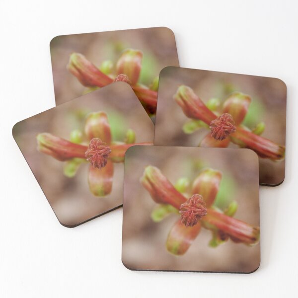 Item preview, Plant in Spring designed and sold by couragesings.