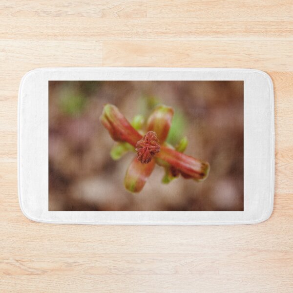 Item preview, Plant in Spring designed and sold by couragesings.