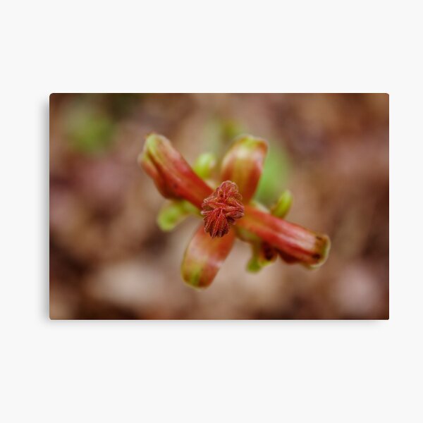 Item preview, Plant in Spring designed and sold by couragesings.
