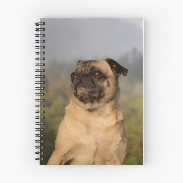 Item preview, Pug When the Clouds Part designed and sold by pugventurephoto.