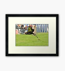 Falconry Framed Print