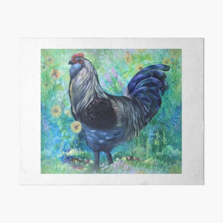 Easter Egger Rooster in Acrylic Art Board Print