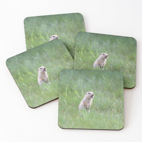 Item preview, Prairie Dog Calls designed and sold by couragesings.