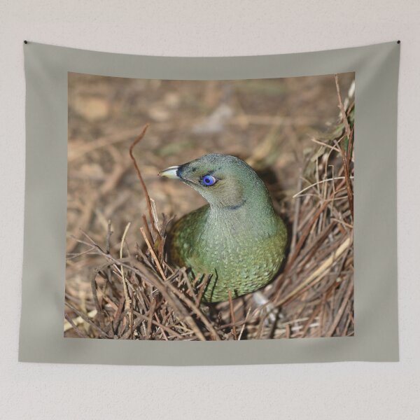 Item preview, Beautiful, Female, Satin Bowerbird designed and sold by imaginethis.