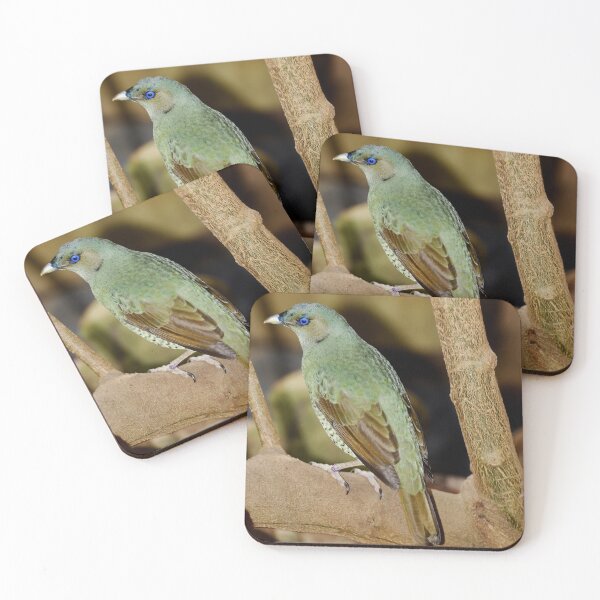 Item preview, Beauty of the Bowerbird designed and sold by imaginethis.