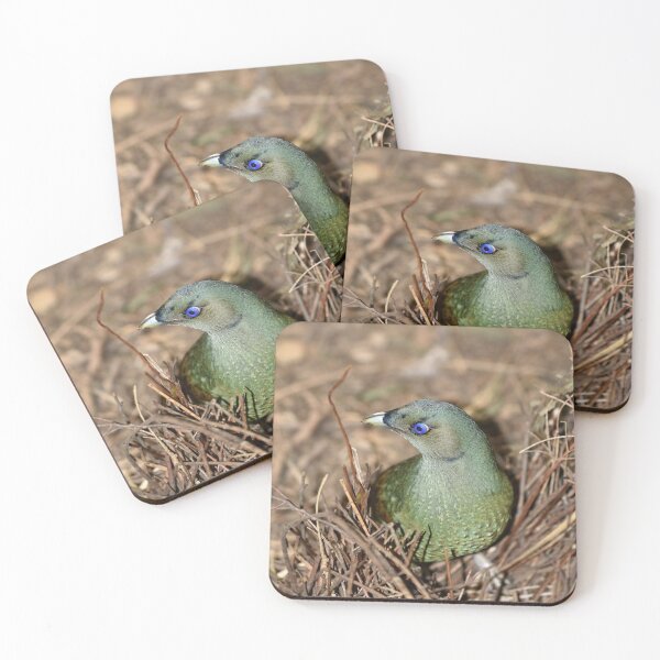 Item preview, Beautiful, Female, Satin Bowerbird designed and sold by imaginethis.