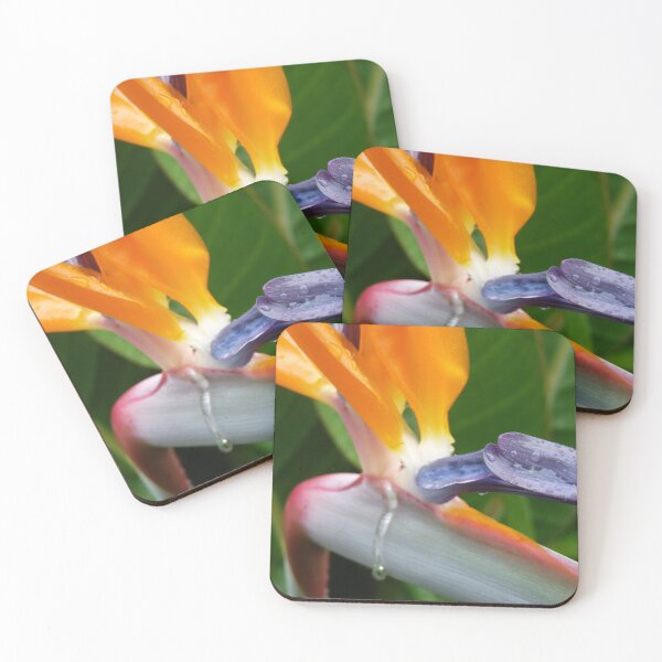 Item preview, Strelitzia  designed and sold by ginnymac.