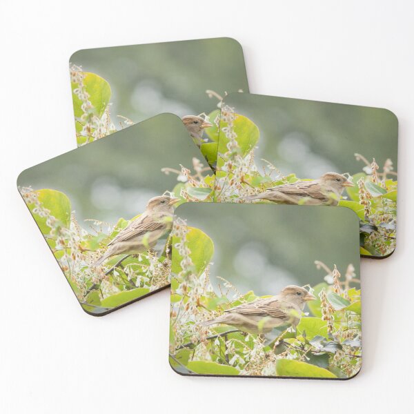 Item preview, Dinner time designed and sold by Dominika Aniola.