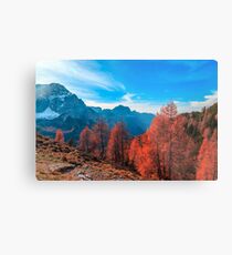 Cloudy autumn day in the italian alps Metal Print